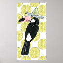 Search for toucan posters Bird