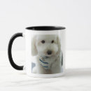 Search for one up mugs Colour image