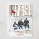 Search for birching christmas cards Birch trees