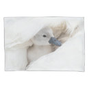 Search for baby animals pillowcases Animals in the wild