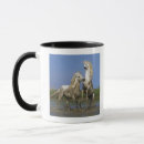Search for rivalry mugs Horizontal