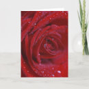 Search for water drop cards Flower