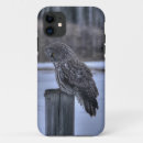 Search for bird portrait iphone cases Owl
