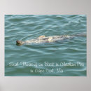 Search for pier posters Cape