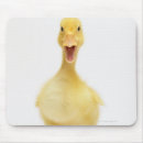 Search for ducklings electronics Yellow