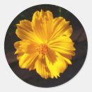 Search for macro stickers Garden