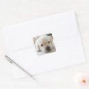 Search for dog napping stickers Animal