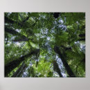 Search for wide posters Outdoors