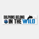 Search for dolphin bumper stickers Ocean