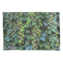 Search for vines pillowcases Botanical
