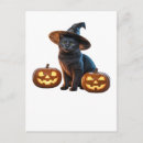 Search for crazy lady postcards Black