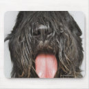 Search for one shot mouse mats Colour image