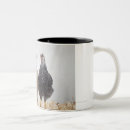 Search for forward mugs Outdoors