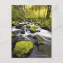 Search for streaming postcards Usa