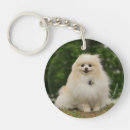 Search for looking at camera round key rings Pomeranian