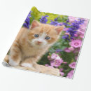 Search for baby cats wrapping paper Pet