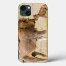 Search for 3 lions electronics Cub