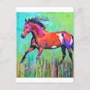 Search for crazy postcards Animal