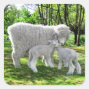 Search for lamb easter stickers Nature