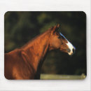 Search for thoroughbred mouse mats Horse