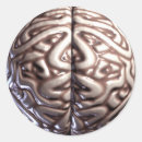 Search for human brain stickers Anatomy