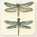 Search for dragonfly coasters Animals