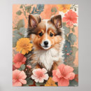 Search for sheepdogs posters Shetland sheepdog