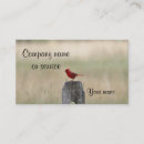 Search for post business cards Bird