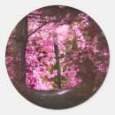 Search for road tree stickers Nature