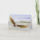 Search for flying eagle cards Landscape