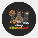 Search for thanksgiving cat stickers Happy