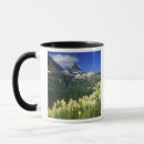 Search for glacier park mugs Logan pass