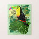 Search for toucan puzzles Rainforest