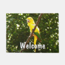 Search for parrot doormats Photography