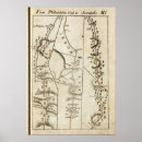 Search for mds posters Roads