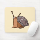 Search for snail with electronics For kids