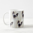 Search for cute white cat mugs Beautiful
