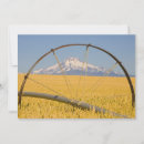 Search for pipe photography United states