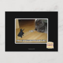 Search for invented postcards I can has cheezburger