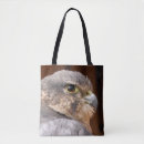 Search for prey bags Bird of prey