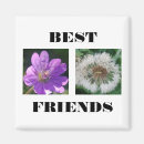 Search for two image template magnets Cute