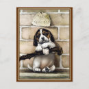 Search for rescue vertical postcards Breed