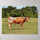 Search for texas longhorn art Cowboy