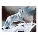 Search for arctic wolves posters Animals