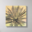 Search for desert canvas prints Cacti