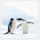 Search for sit in stickers Animal