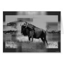 Search for gnu African