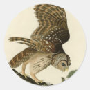 Search for audubon birds stickers John james audubon