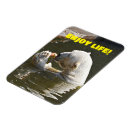 Search for of life seasonal cards Animals