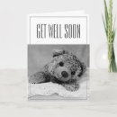 Search for teddy bear get well cards Illness